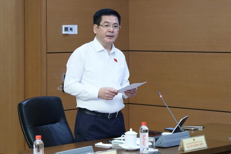 Phó Chủ tịch Quốc hội Nguyễn Hồng Diên phát biểu tại phiên thảo luận tổ. Ảnh:quochoi.vn