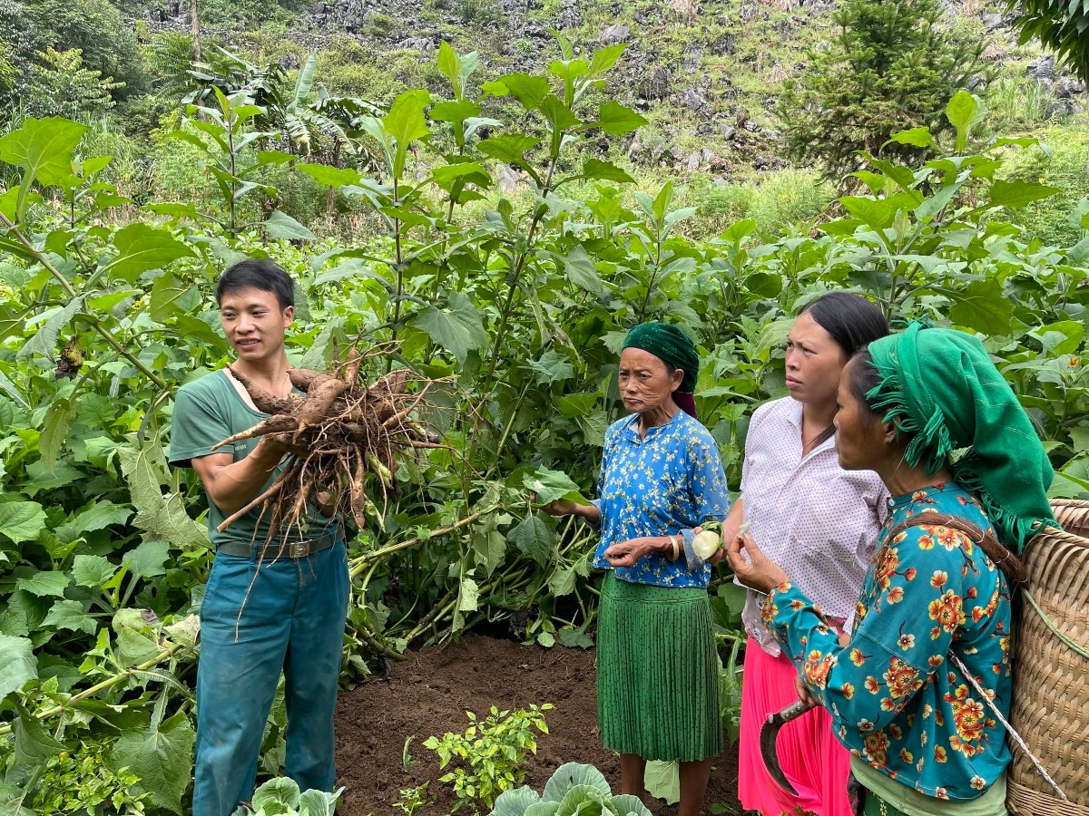 Liên kết với người dân giúp hợp tác xã chủ động nguồn cung, đồng thời tạo đầu ra ổn định hơn cho nông sản vùng cao