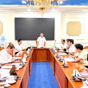 Phó Chủ tịch HĐND Thành phố Nguyễn Văn Dũng phát biểu chỉ đạo tại phiên thẩm tra dự thảo Nghị quyết thông qua quy hoạch tổng thể TP. Hồ Chí Minh thời kỳ 2025 - 2050, tầm nhìn 100 năm. Ảnh: Thái Long.