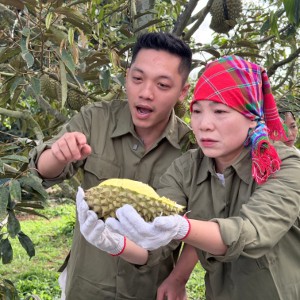 Các phiên livestream góp phần quảng bá sầu riêng và nông sản địa phương đến người tiêu dùng trên cả nước. Ảnh: TikTok Shop.
