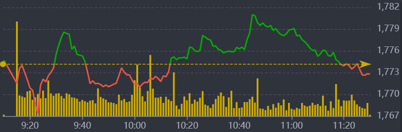 Diễn biến VN-Index sáng nay.