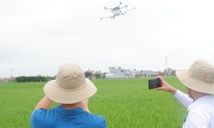 Thiết bị bay không người lái (UAV) kết hợp với cảm biến và công nghệ xử lý dữ liệu có thể hỗ trợ chuyển từ phương thức canh tác đồng loạt sang nông nghiệp chính xác. Ảnh: VGP
