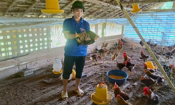 Bí quyết làm kinh tế hiệu quả của chàng thanh niên người Thái