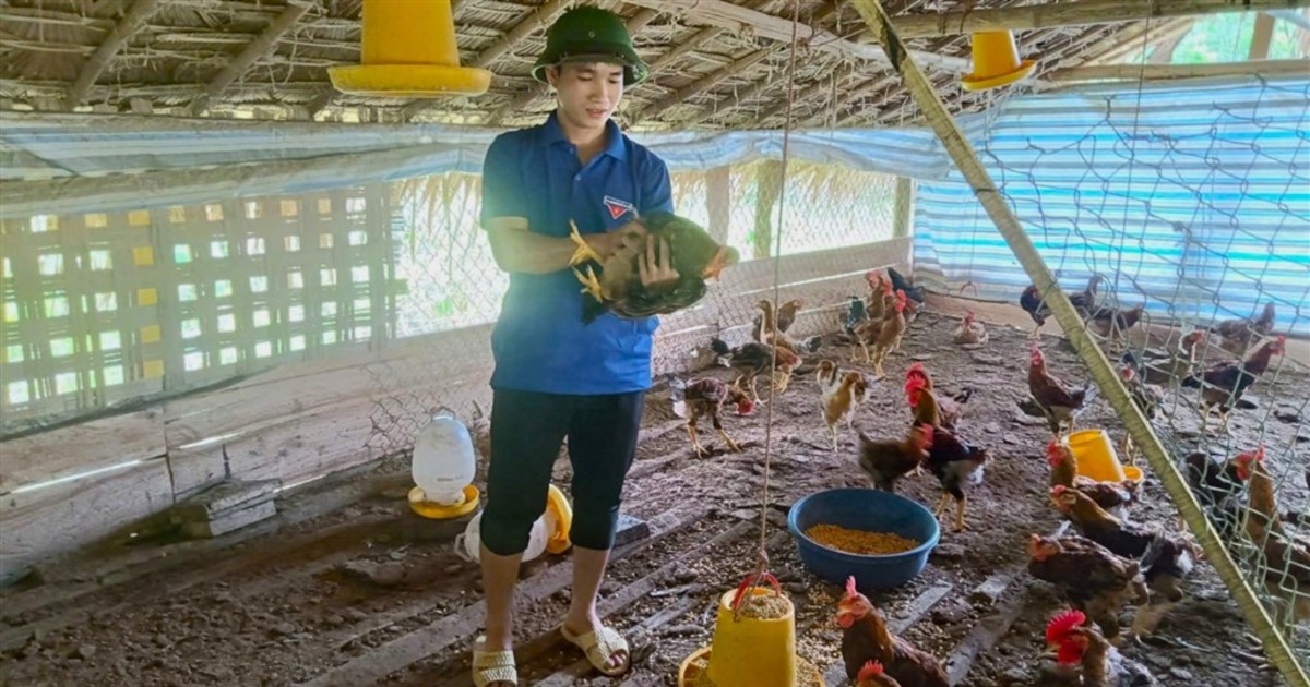 Bí quyết làm kinh tế hiệu quả của chàng thanh niên người Thái