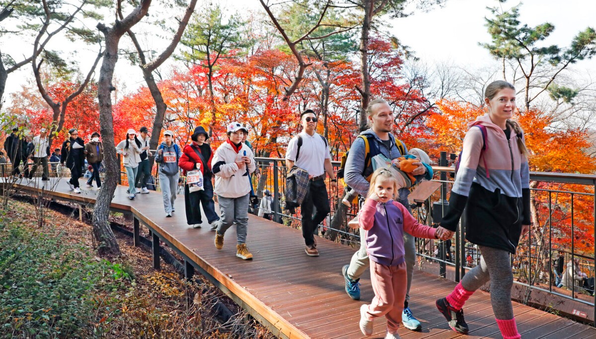 Lễ hội mùa thu Seoul dự kiến sẽ diễn ra từ ngày 1 - 30/11/2026. Ảnh: Korea JoongAng Daily