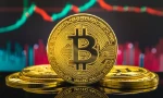 Hơn một nửa số Bitcoin đang lưu hành chưa rõ chủ sở hữu