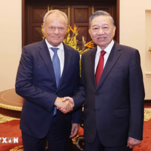 Tổng Bí thư, Chủ tịch nước Tô Lâm tiếp Thủ tướng Ba Lan Donald Tusk - Ảnh: TTXVN