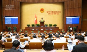 Các đại biểu thảo luận tại hội trường. Ảnh: quochoi.vn
