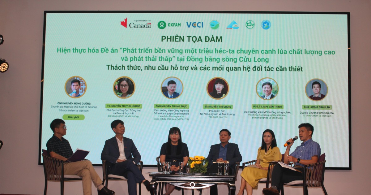 GoRice thúc đẩy chuyển đổi xanh chuỗi giá trị lúa gạo tại Đồng bằng sông Cửu Long