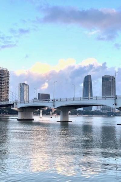 Da Nang proposes housing subsidies to attract top talent and experts