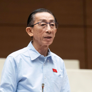 Đại biểu Quốc hội Trần Hoàng Ngân (Đoàn TPHCM).