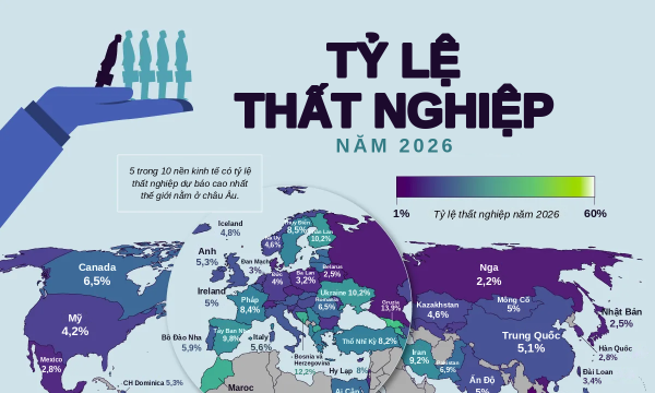 Bản đồ tỷ lệ thất nghiệp trên thế giới năm 2026, Việt Nam thuộc nhóm thấp nhất