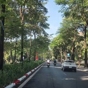 Vụ án liên quan đến các dự án trên địa bàn nhiều tỉnh, thành trên cả nước. Ảnh minh họa: Như Nguyệt.