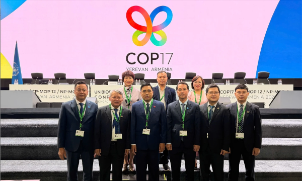 Việt Nam đề xuất tăng cường nguồn lực cho đa dạng sinh học tại COP17
