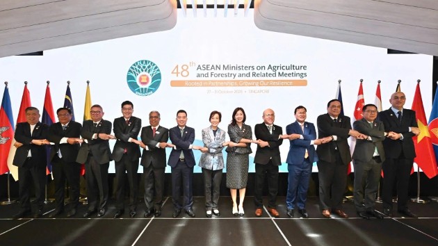 Vietnam proposes three ASEAN agriculture and forestry cooperation priorities for 2026-2030
