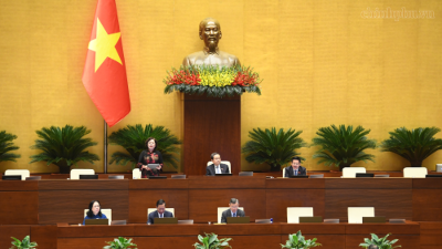 Lawmakers debate revisions to SME Development Law