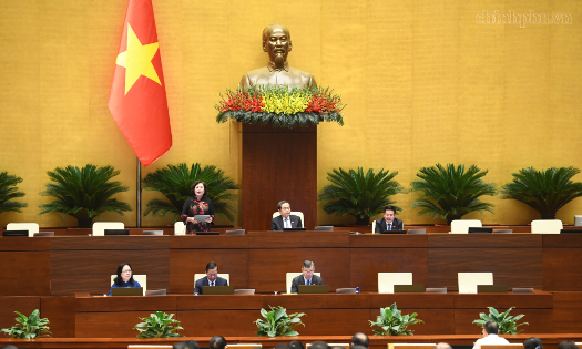 Overview of the National Assembly discussion on October 29. (Photo: chinhphu.vn)